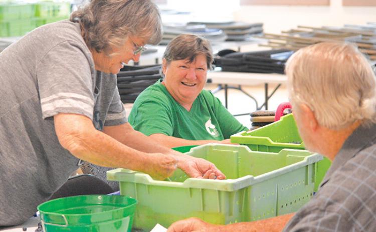 Judy Johnson, left, grabs a few more blueberries from a bin as she, Sharon Finch, center, and Tom Johnson, right, volunteer their time to help prepare the berries for the Bostwick Blueberry Festival set to occur Saturday.