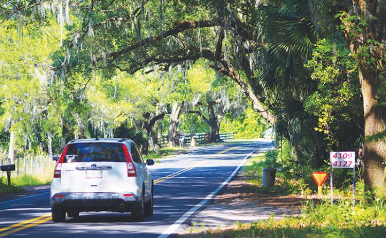 A canopy of trees lines Silver Lake Drive, providing a shady drive for vehicles in Palatka on Thursday. 