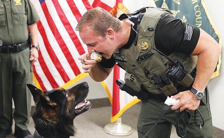 Putnam County Sheriff’s Office Lt. Jared Guy takes a bite of K-9 Halo’s treats during the dog’s retirement party on Monday.