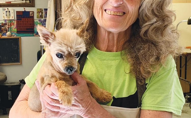Susie Kline, owner of Susie’s Dog House in Interlachen, holds one of the pooches she grooms at her 30-year-old business.
