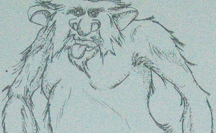 Palatka Daily News file art. The Bardin Booger has been described as a hairy ape or bear-type creature, a troll, ghosts and even the Bardin Light. Those descriptions gave Daily News artist Lynette L. Walther a good idea of what he might look like. 