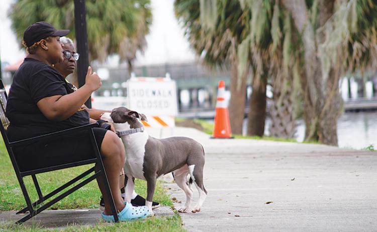 Trinity Reese, foreground, and her dog, Blu, enjoy their time at the open portion of Riverfront Park in Palatka during her visit with her grandmother, Esther McDuffie, on Tuesday.