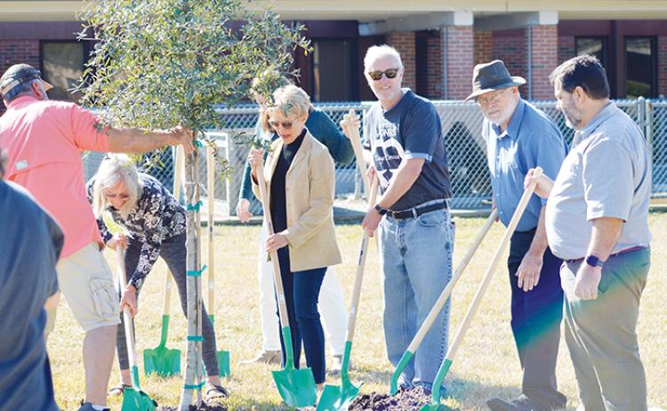 Palatka tree committee members, agricultural experts and nature advocates join St. Johns River State College President Joe Pickens to plant a live oak at the college’s Palatka campus Friday.