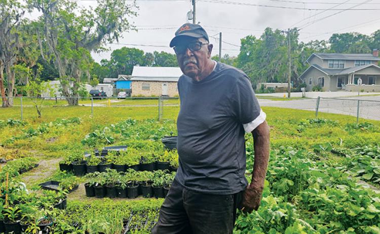SHALISHA BYNOE/Palatka Daily News   Morris Alston stands in the community garden he maintains at the intersection of River and 12th streets in Palatka.