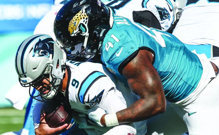 Jacksonville’s Josh Allen (41) takes down Carolina quarterback Bryce Young for one of his three sacks on Sunday. (JOHN STUDWELL / Special to the Daily News)